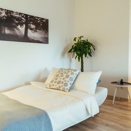 Bright And Spacious Central Apartment- Piata Amzei Bucharest Luaran gambar